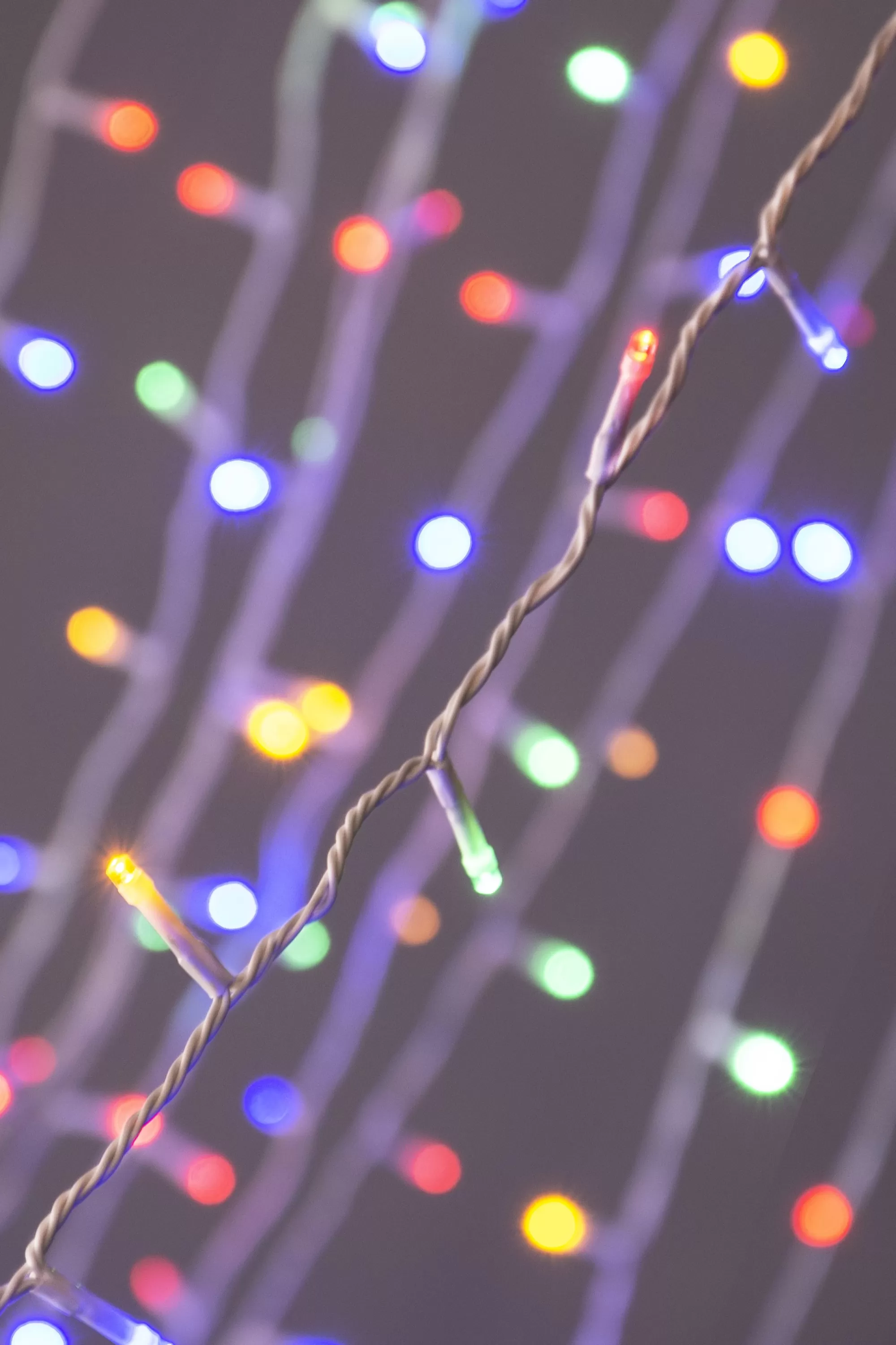 Online Christmas Tree World Ctw White Cable 1000 Led Multifunction String Light Set - Multicolour