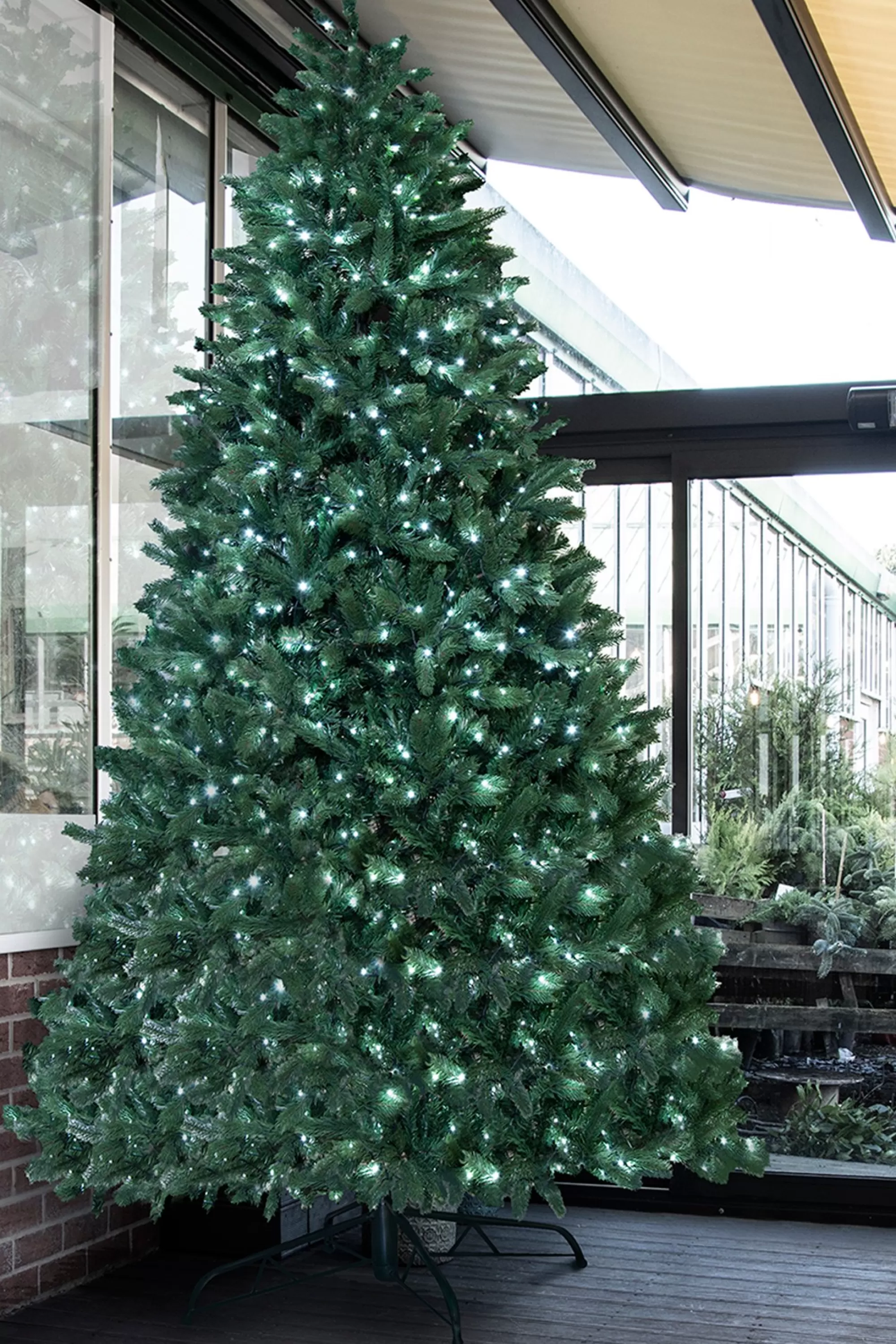 Discount Christmas Tree World The 10Ft Ultra Devonshire Fir Pre-Lit With Warm White/White Colour Change Leds