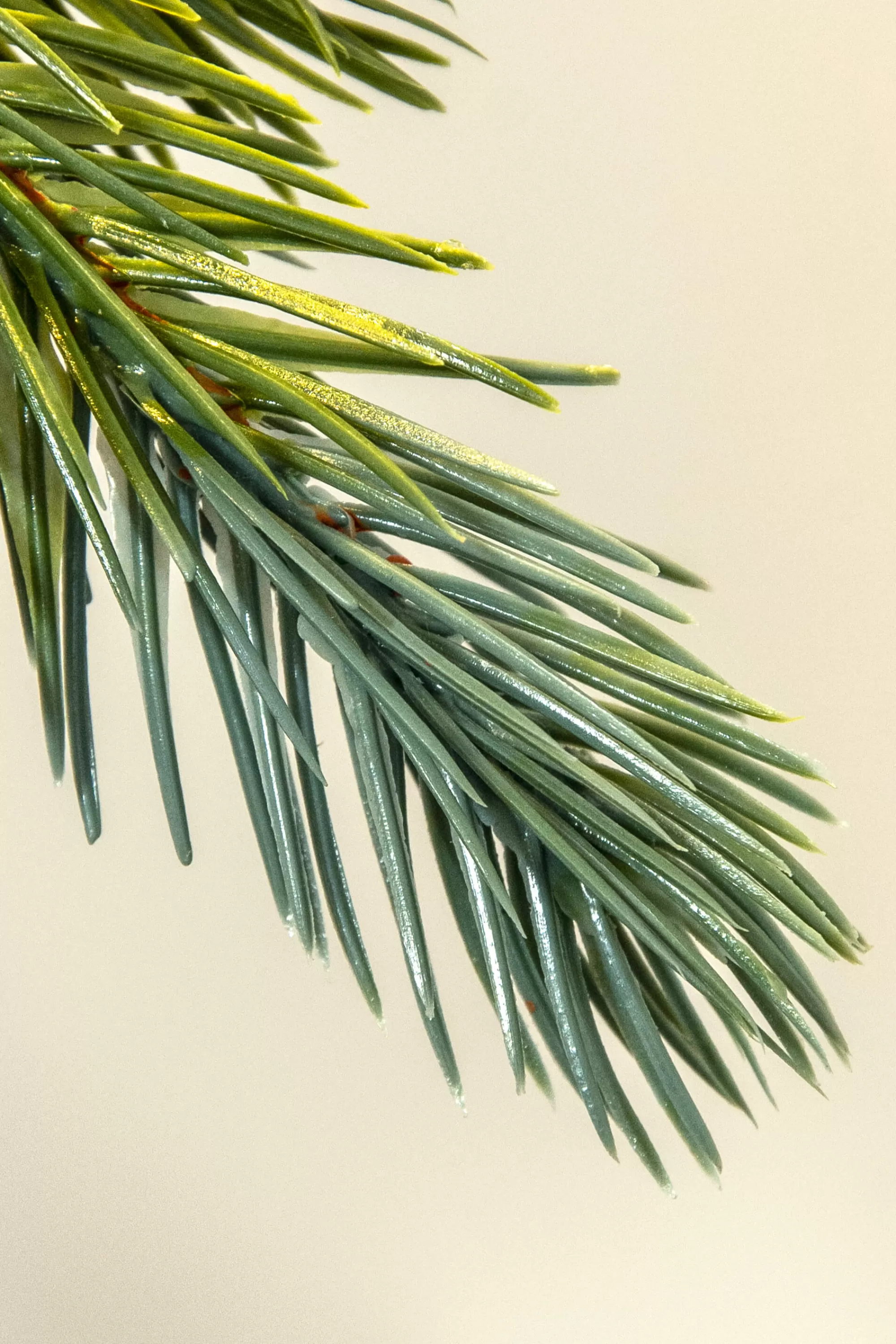 Cheap Christmas Tree World The 3Ft Pre-Lit Cairngorm Pine Potted Tree (Outdoor)
