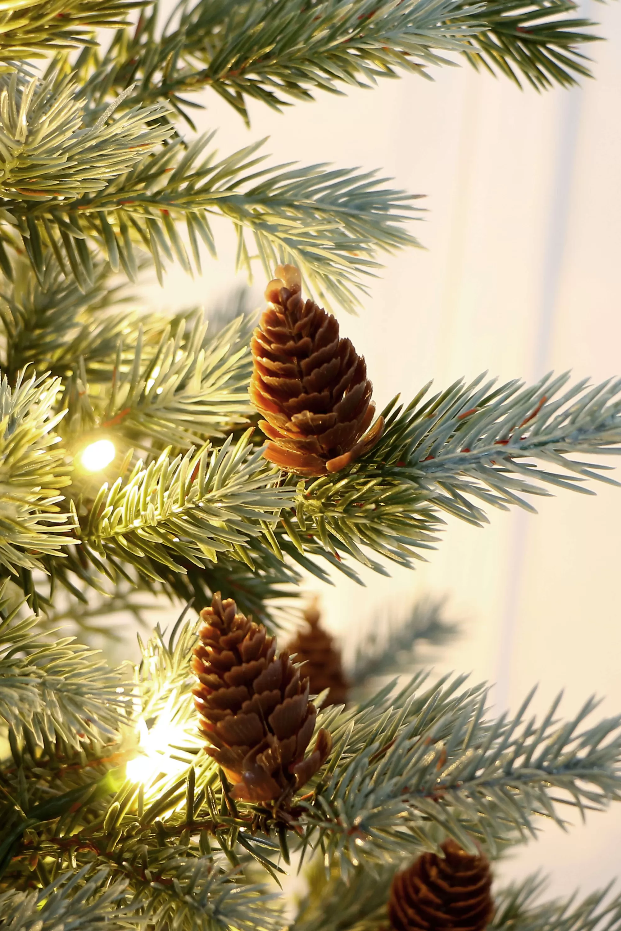 Cheap Christmas Tree World The 3Ft Pre-Lit Cairngorm Pine Potted Tree (Outdoor)