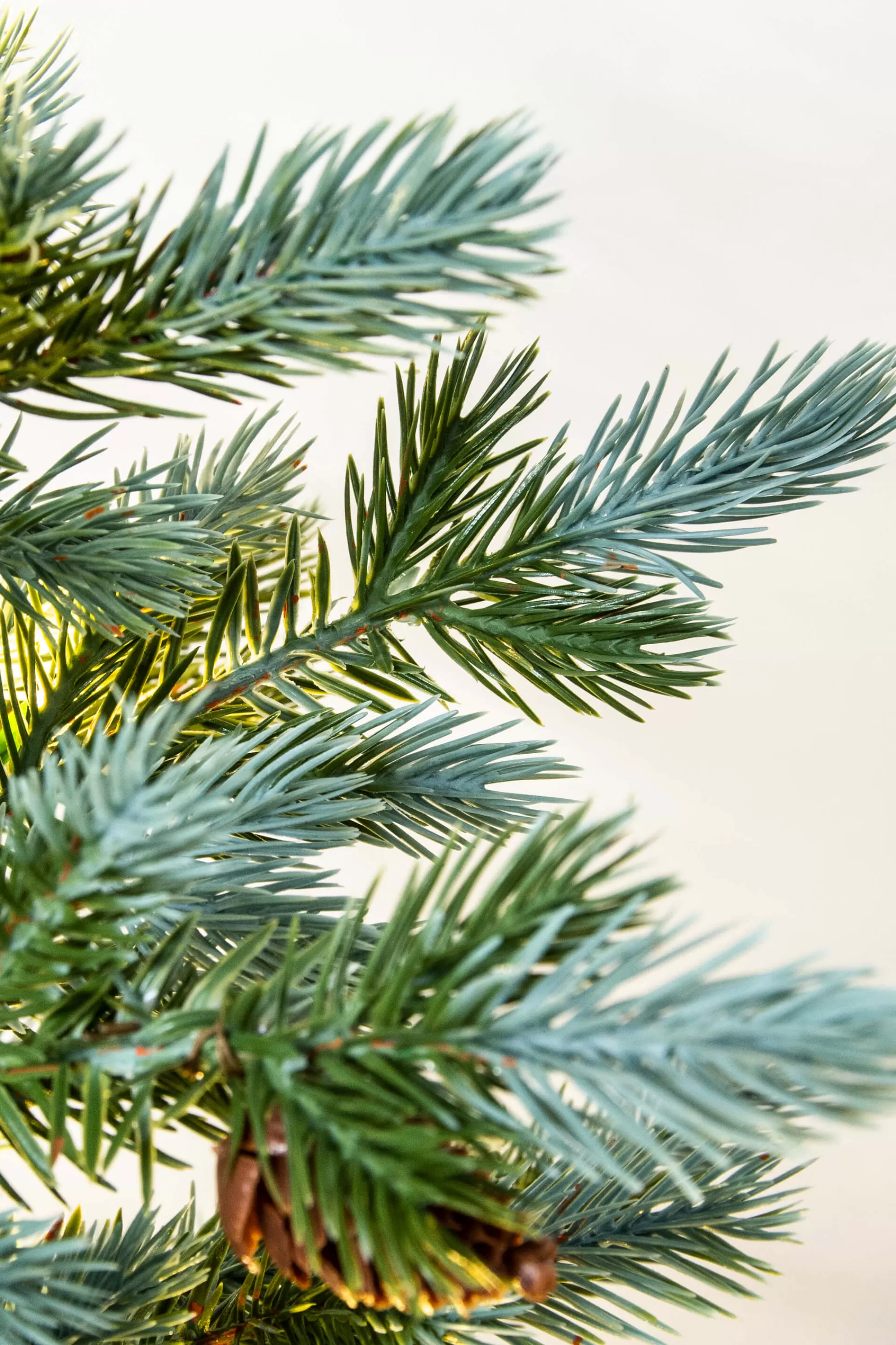 Cheap Christmas Tree World The 3Ft Pre-Lit Cairngorm Pine Potted Tree (Outdoor)