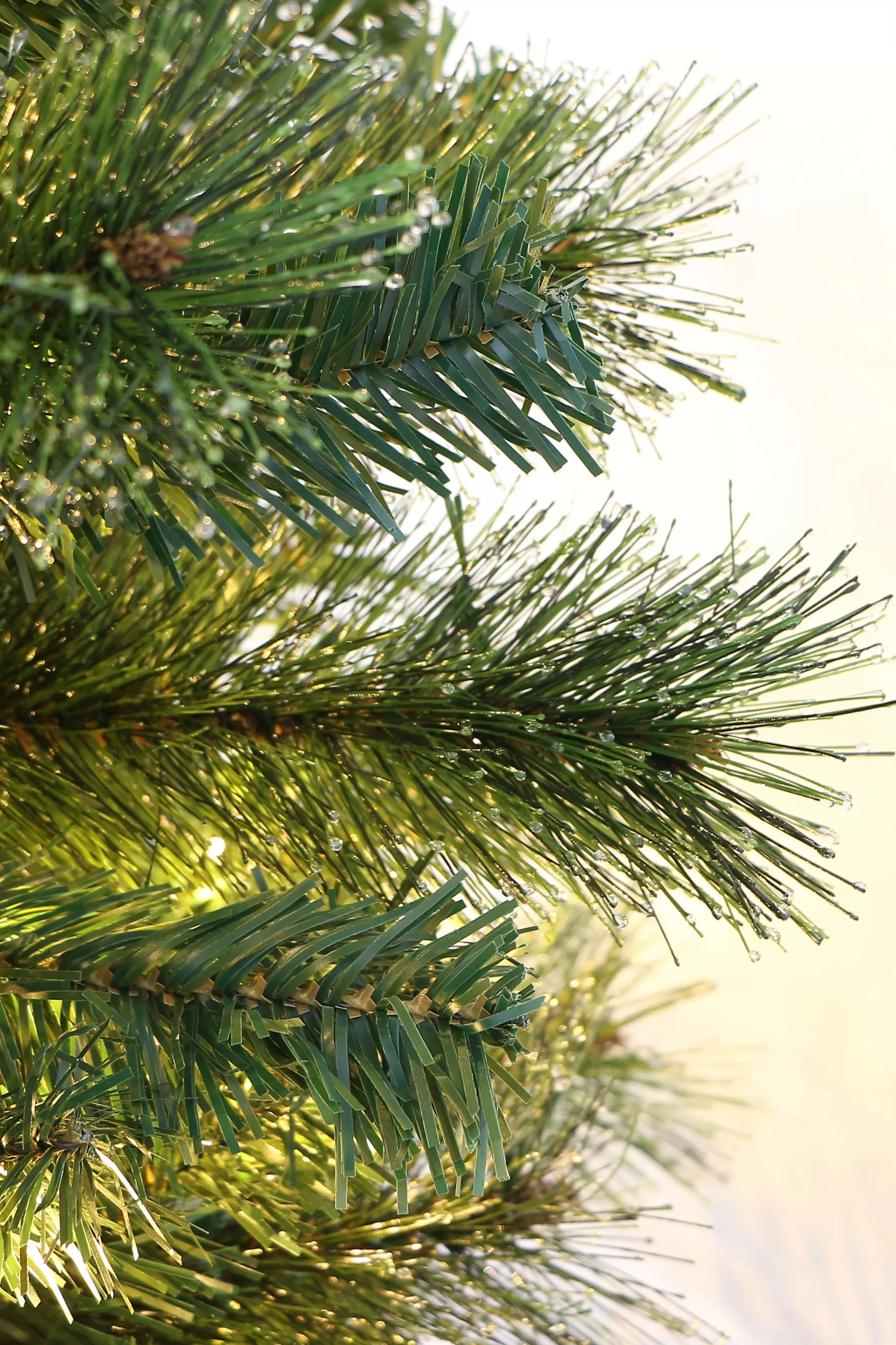 Outlet Christmas Tree World The 4Ft Pre-Lit Majestic Dew Pine Potted Tree (Outdoor)