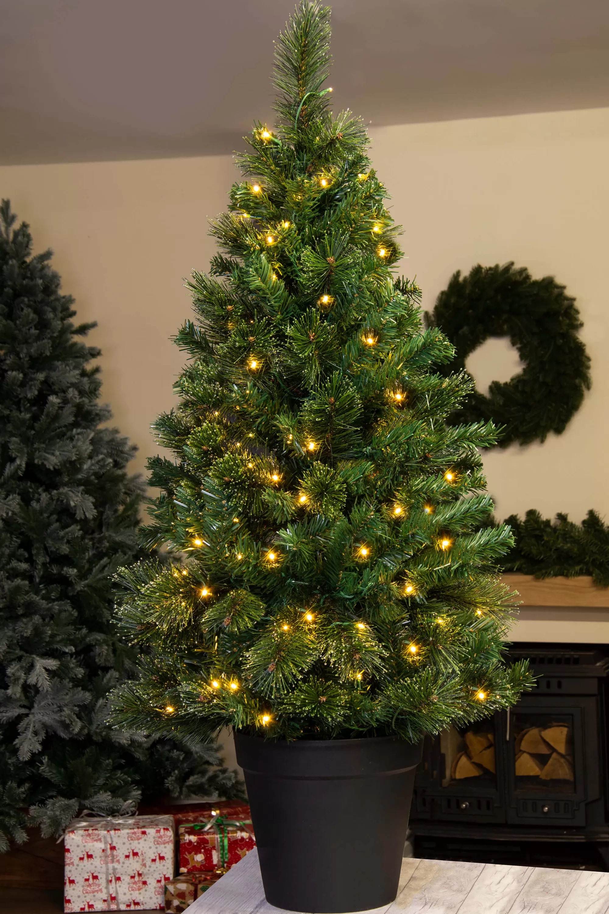Outlet Christmas Tree World The 4Ft Pre-Lit Majestic Dew Pine Potted Tree (Outdoor)