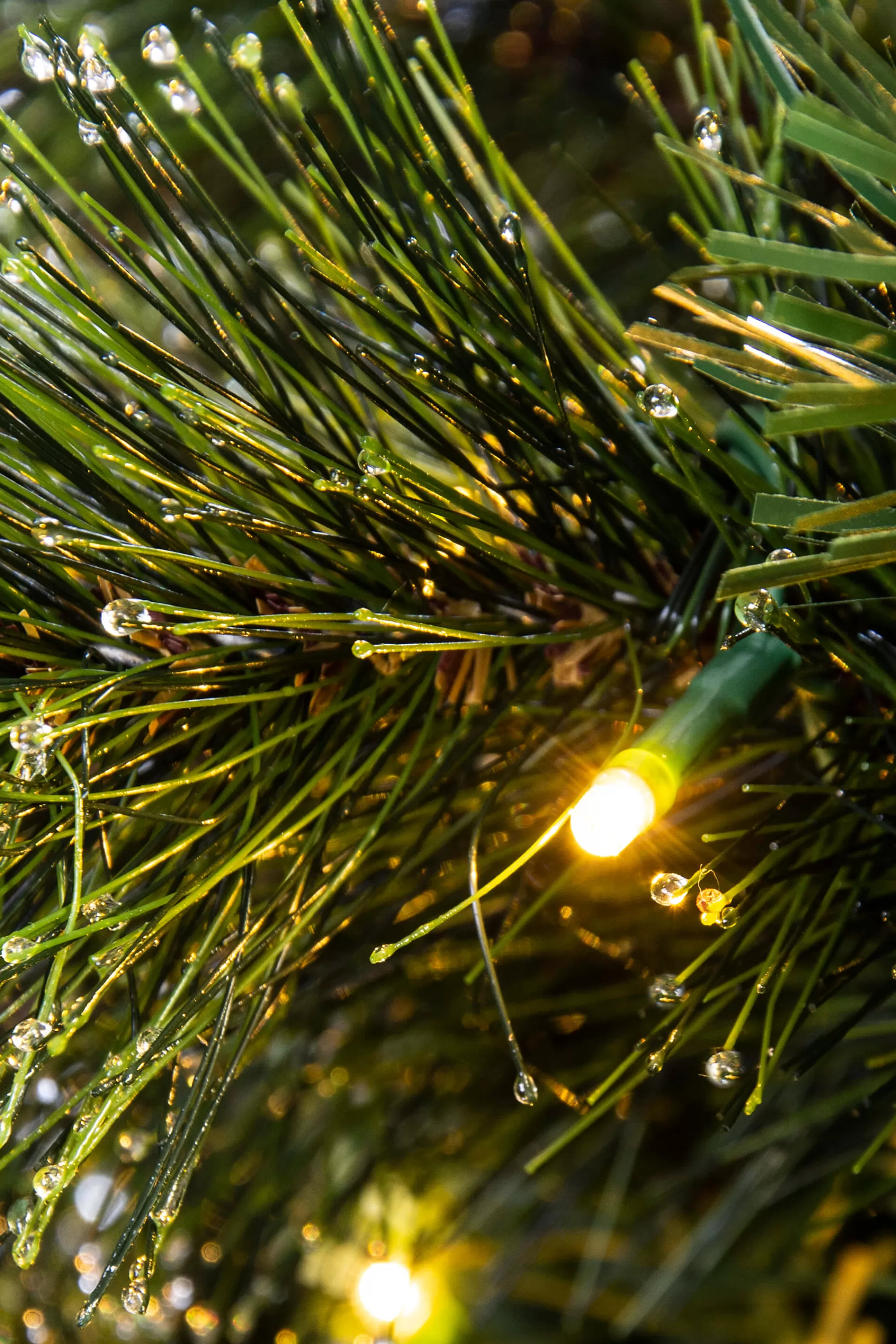 Outlet Christmas Tree World The 4Ft Pre-Lit Majestic Dew Pine Potted Tree (Outdoor)