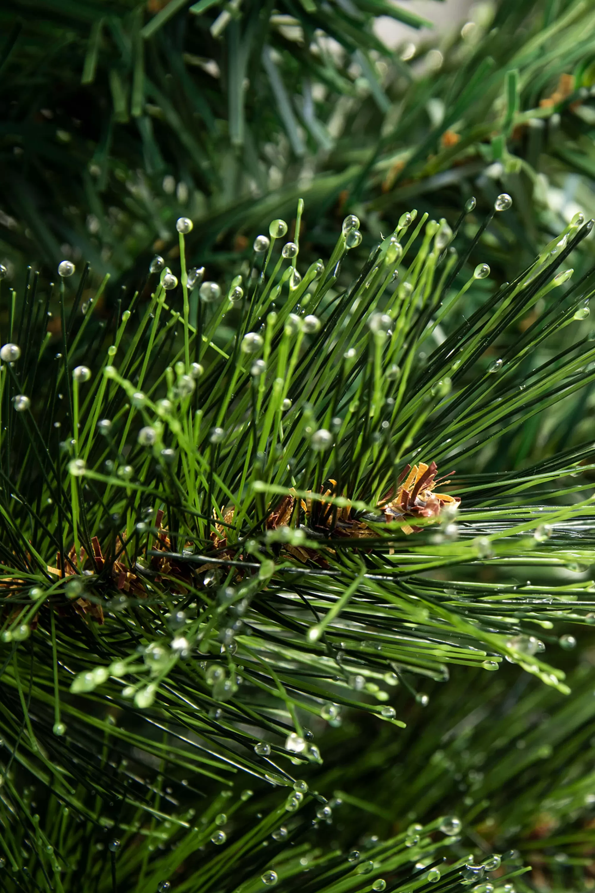 Outlet Christmas Tree World The 4Ft Pre-Lit Majestic Dew Pine Potted Tree (Outdoor)