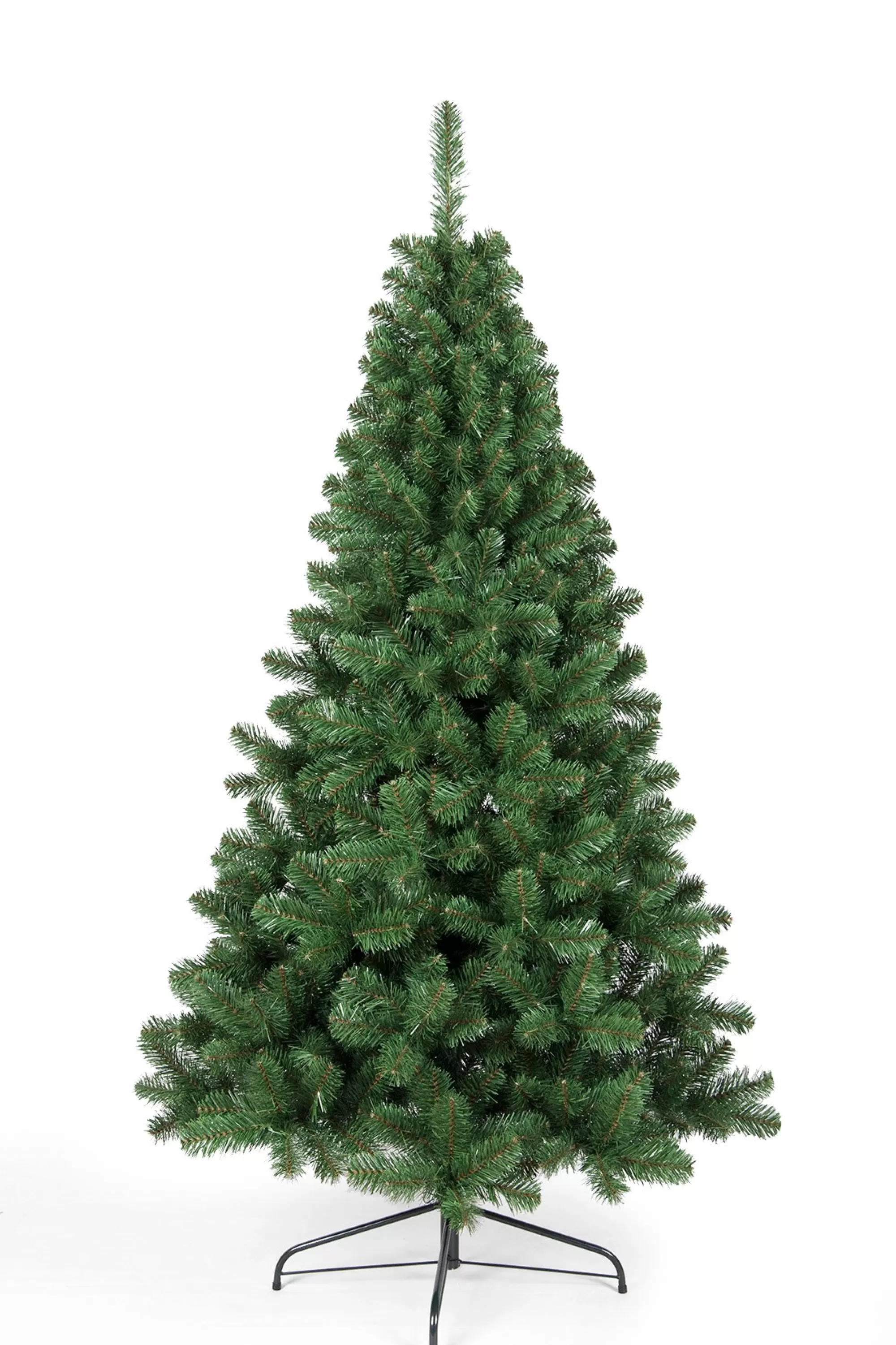 New Christmas Tree World The Arbor Vitae Fir Half Tree (4Ft To 6Ft)