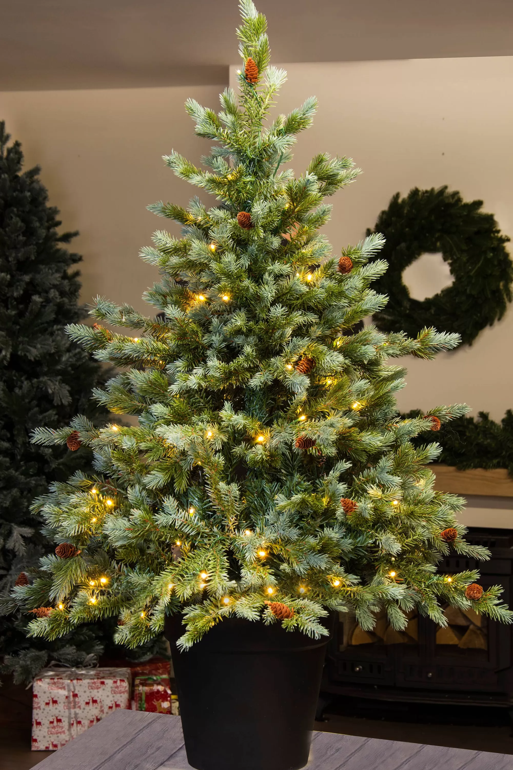 Hot Christmas Tree World The Pre-Lit Cairngorm Pine Potted Tree (3Ft To 4Ft)