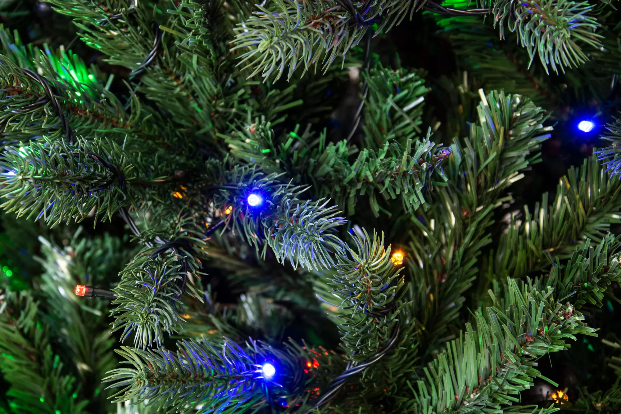 Cheap Christmas Tree World The Ultra Devonshire Fir Pre-Lit With Warm White/Multicoloured Leds (4Ft To 12Ft)