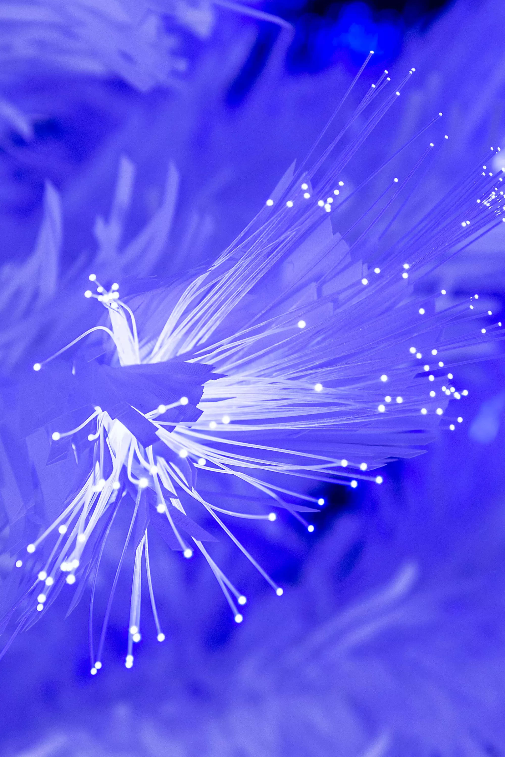 Store Christmas Tree World The White Blue Ripple Effect Fibre Optic Tree (4Ft To 7Ft)